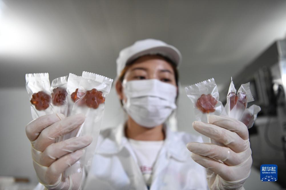波克捕鱼官方老版本